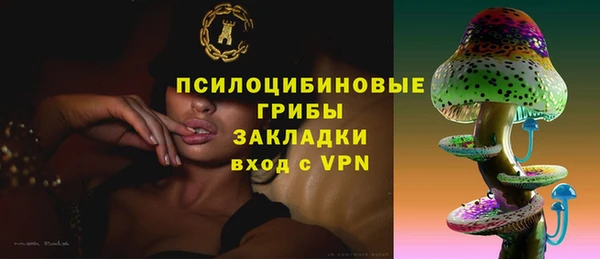 сатива Баксан