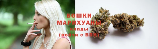 сатива Баксан