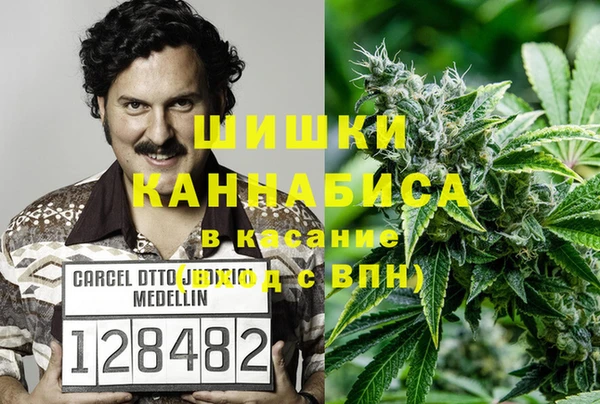 сатива Баксан