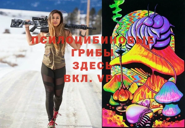 сатива Баксан