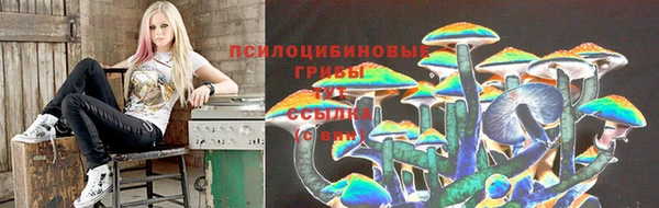 spice Балабаново