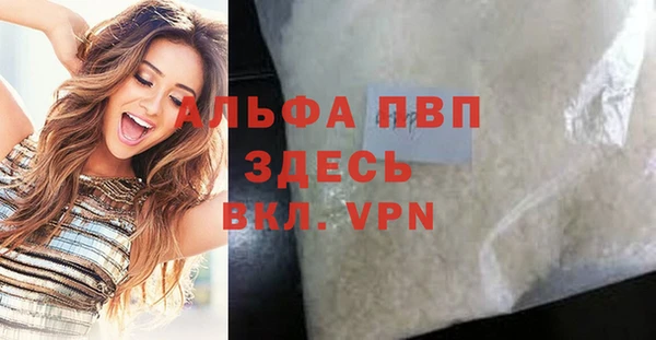 сатива Баксан