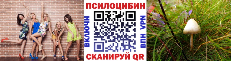 Псилоцибиновые грибы ЛСД Кропоткин